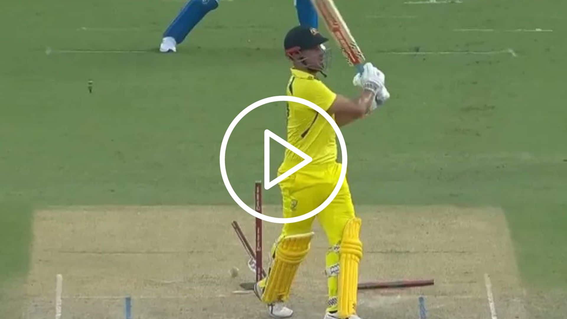 Mohammed Shami Cleans Up Marcus Stoinis With An Absolute Ripper